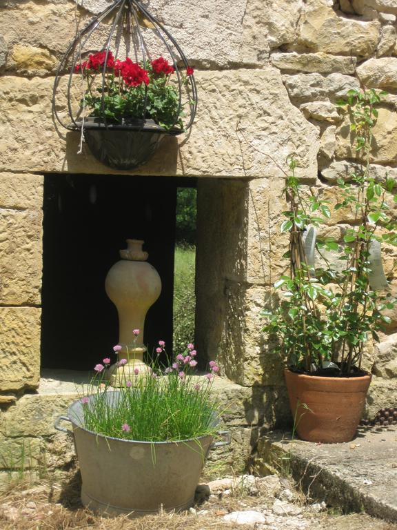 Domaine La Rose Bed & Breakfast Caylus ภายนอก รูปภาพ