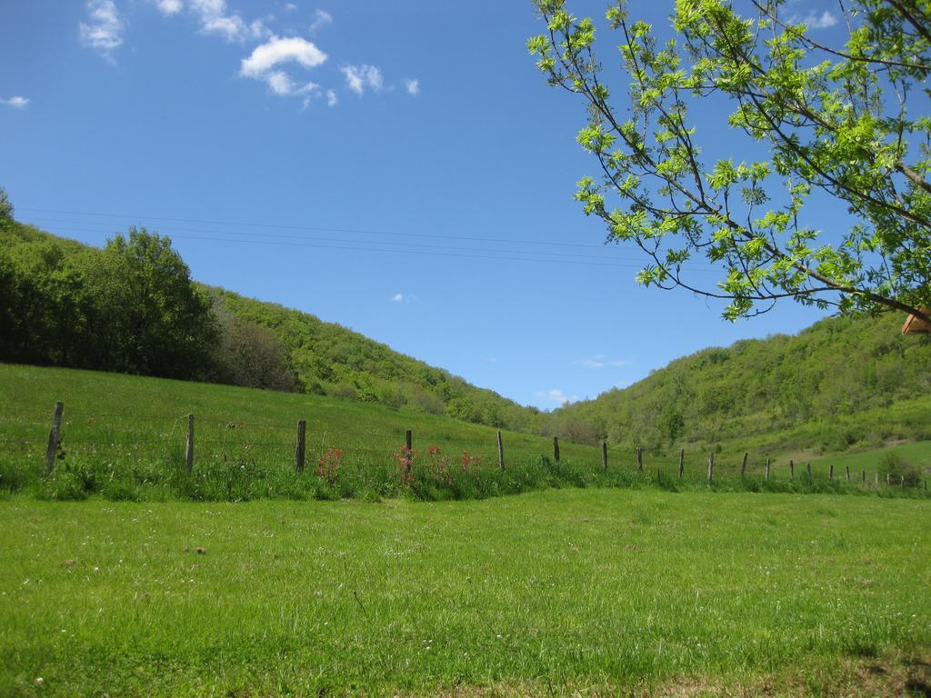 Domaine La Rose Bed & Breakfast Caylus ภายนอก รูปภาพ