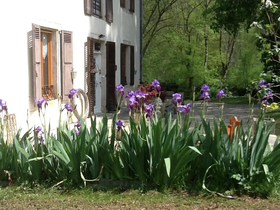 Domaine La Rose Bed & Breakfast Caylus ภายนอก รูปภาพ